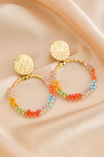 Load image into Gallery viewer, Multicolored Bead Stainless Steel Earrings