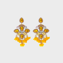 Load image into Gallery viewer, Flower Shape Rhinestone Alloy Dangle Earrings