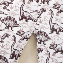 Load image into Gallery viewer, Kids Graphic Sweatshirt and Dinosaur Print Joggers Set